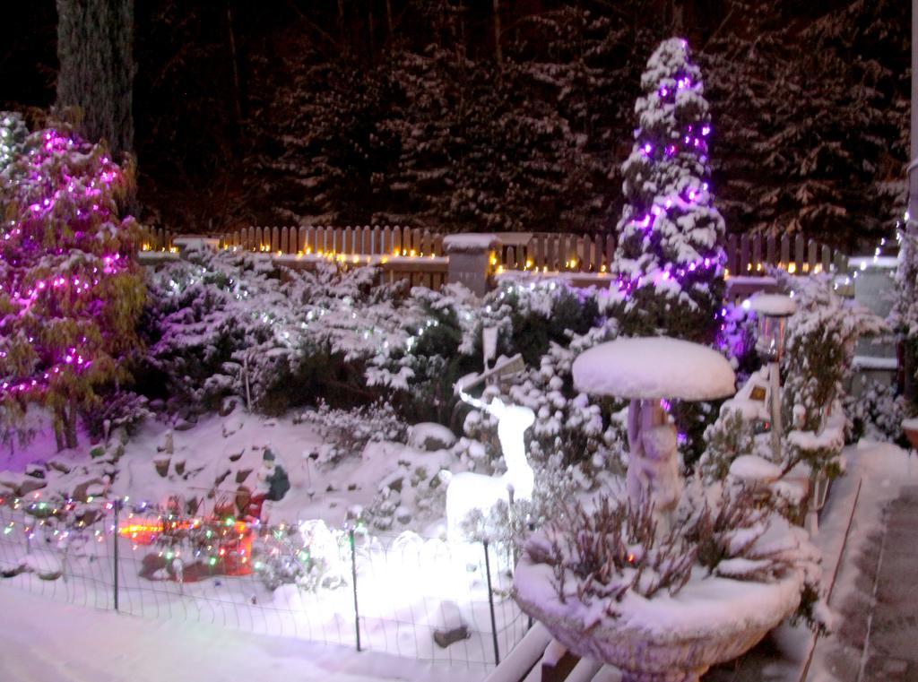 Villa Anastazis - Penzion Eden การ์โลวีวารี ภายนอก รูปภาพ